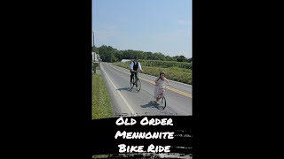 Old Order Mennonites Biking Through The Amish Country [upl. by Ernesto]