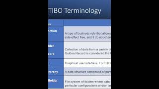 STIBO TERMINOLGYMaster Data Management  STEP MDMPIM  mdm  shorts shortvideo [upl. by Naujud675]