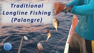 Longline Fishing in the Philippine Province of Mindanao [upl. by Autumn]