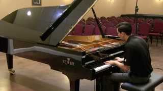 Seiler Concert Grand  SE278CO  Brahms [upl. by Tews]