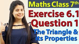 Q 1 Ex 61  The Triangle and its Properties  Chapter 6  Maths Class 7th  NCERT [upl. by Haukom]