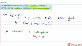 a What are autotrophs Give one example of autotrophs b What are the conditions necessary [upl. by Britta]