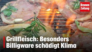 Grillfleisch Besonders Billigware schädigt Klima  kronetv NEWS [upl. by Timon]