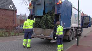 HvB Nieuws  Kerstbomen worden van straat geplukt in Hilvarenbeek [upl. by Arakahs]