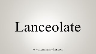 How To Say Lanceolate [upl. by Ennyroc]