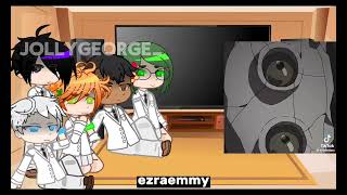 PAST TPN REACT FULL VIDEOJOLLYGEORGE [upl. by Grieve471]