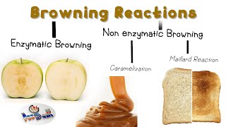 Browning Reactions in Food [upl. by Rebeh]