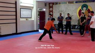 Hai Di Lao Yue  Wu Taiji Quan Application [upl. by Reteip]