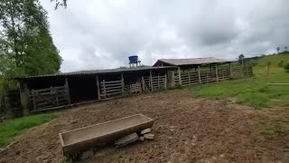 SÍTIO DE 10 HECTARES À VENDA EM MINAS GERAIS [upl. by Joby]