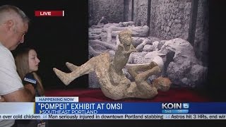 Pompeii exhibit at OMSI highlights life at Mt Vesuvius [upl. by Teena]