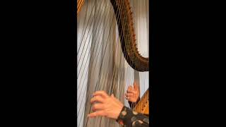 M Glinka Nocturne 1828  Harp Masumi Nagasawa [upl. by Rehpotsyrhc]