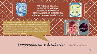 Tema 12 Parte 1 Campylobacter y Arcobacter [upl. by Fidel]