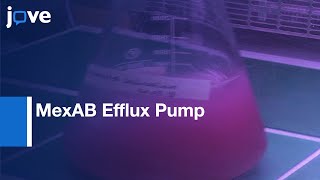 Investigation Of MexAB Efflux Pump From Pseudomonas aeruginosa l Protocol Preview [upl. by Raines689]