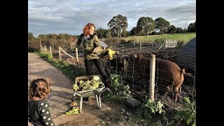 Speciaal bezoek aan de goed gevulde spaarvarkens en hoe je goed gevulde bitterballen maakt [upl. by Martita]