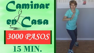 🔥 CAMINAR EN CASA PARA PERDER PESO en 15 MINUTOS 🔥  Andar 3000 Pasos en casa  Kanimoo [upl. by Ahcarb]