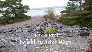 Max Drischner quotBefiehl du deine Wegequot Choralvorspiel für Orgel [upl. by Ardnad177]