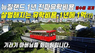 EP6 뉴질랜드 1년 진짜 유학비용 영수증 깝니다 갈수록 살벌해지는 유학비용 1년에 1억 기러기아빠님들 같이 힘내시죠 [upl. by Myrle]