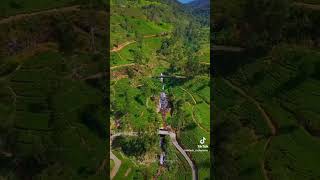 නානුඔය අසිරිය trending travel [upl. by Aihtnamas221]