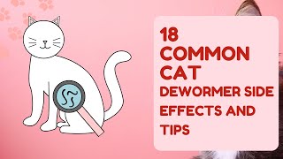 18 Common Cat Dewormer Side Effects And Tips [upl. by Koh]