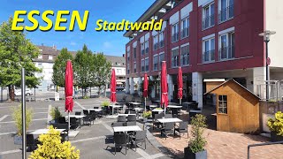 Stadt Essen walking 4K  Stadtwald Sommer 2024 [upl. by Siol]