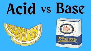 10 Key Differences Between Acids and Bases  Chemistry Made Simple [upl. by Ainej601]