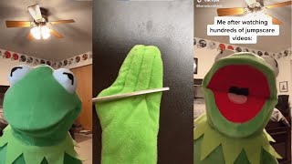 Funniest Kermit on TikTok Videos Compilation Best kermitontiktok 2023 [upl. by Janik]