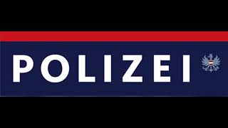 Polizeinotruf Steiermark Stv Landespolizeidirektor rastet aus [upl. by Esined521]