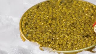 Markys  Karat Caviar Farm process and quality Caviar Osetra and Caviar Kits [upl. by Naples]