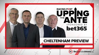 Upping The Ante  Cheltenham Preview Show 2022 [upl. by Aihsekin]