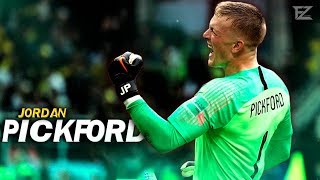 Jordan Pickford 2018 ▬ The Guardian • Amazing Best Saves  HD [upl. by Derr285]