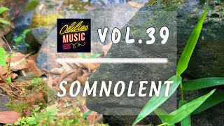 Somnolent  Gentle Resonance Relaxing Music for Peace  Vol 39 [upl. by Aceber]