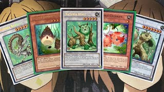 My Naturia Yugioh Deck Profile for March 2022 [upl. by Holladay]