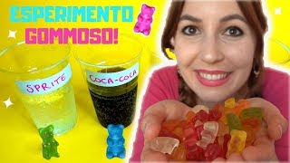 ESPERIMENTO CON GLI ORSETTI GOMMOSI gummy bear experiment osmosis [upl. by Dekow]