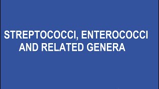 10 The Streptococci Enterococci and Related Genera [upl. by Buffo]