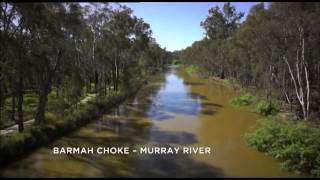 The Barmah Choke [upl. by Tharp]