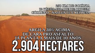 JÁ PLANTA À MAIS DE 10 ANOS  DE CARA PRO ASFALTO  ARGILA 30 ACIMA  250 KM DE GOIÂNIA  fazenda [upl. by Emelin526]