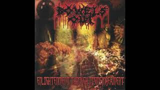 Bowels Out  Enlightenment Through Dismemberment Full Album  2005 [upl. by Aleusnoc]