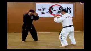 114 Take down and Submission Combinations Gongkwon Yusuls Kyeonbeop Korean jujitsu [upl. by Ytsud]