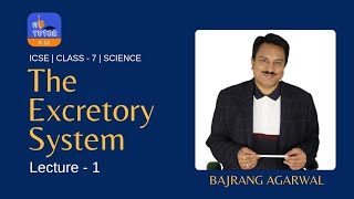 Lecture  1  Excretory System  Class  7  ICSE icse science class7 [upl. by Luby779]