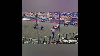 Grand National Rodeo 2024 Cow Palace SF🐎🐃🐴🐂🤠🏇🏾👢 [upl. by Georgena]