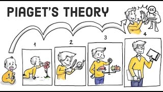 Piagets Theory of Cognitive Development  Stages of Cognitive development [upl. by Yv]