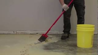 Removing Carpet amp Carpet Adhesive with Sentinel 626 [upl. by Amado872]