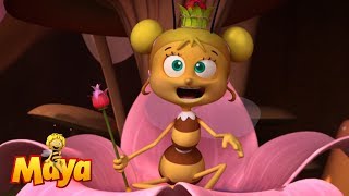 The Birth of Maya  Maya the Bee  Episode 1 [upl. by Ailemap]