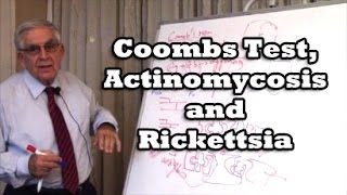 Coombs Test Actinomycosis and Rickettsia [upl. by Orianna]