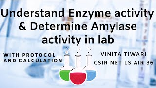 Enzyme activity  Alpha amylase activity determination in lab [upl. by Radke247]