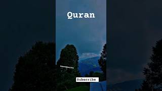 Quran quran ytshorts qurantranslation313 youtubeshorts religion trending knowledgeofdeen [upl. by Rett]