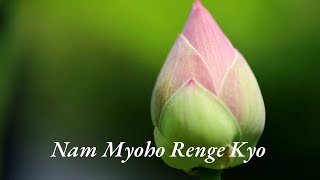 Daimoku 5 Minutes Transform Your Life with a 5Minute Nammyohorengekyo Chant [upl. by Flyn623]