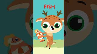 Boom Starfish Dance with Raccoon and Deer  Fun Song for Kids funny kidsmusic nurseryrhymes [upl. by Georges]