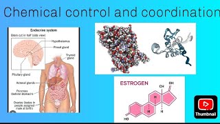 Chemical control and coordination class 11 Biology hormones glands endocrine [upl. by Aleda786]