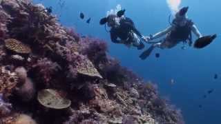 Go Dive Lanta  PADI Dive Centre on Koh Lanta Krabi Thailand [upl. by Nyrb]